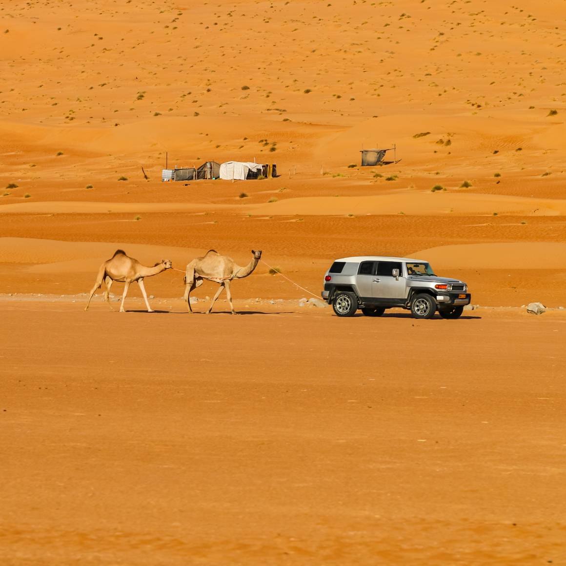 Réservez vos excursions